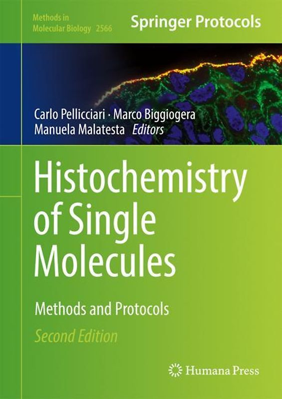 Histochemistry of Single Molecules