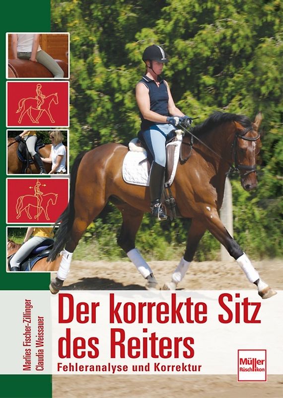 Der korrekte Sitz des Reiters