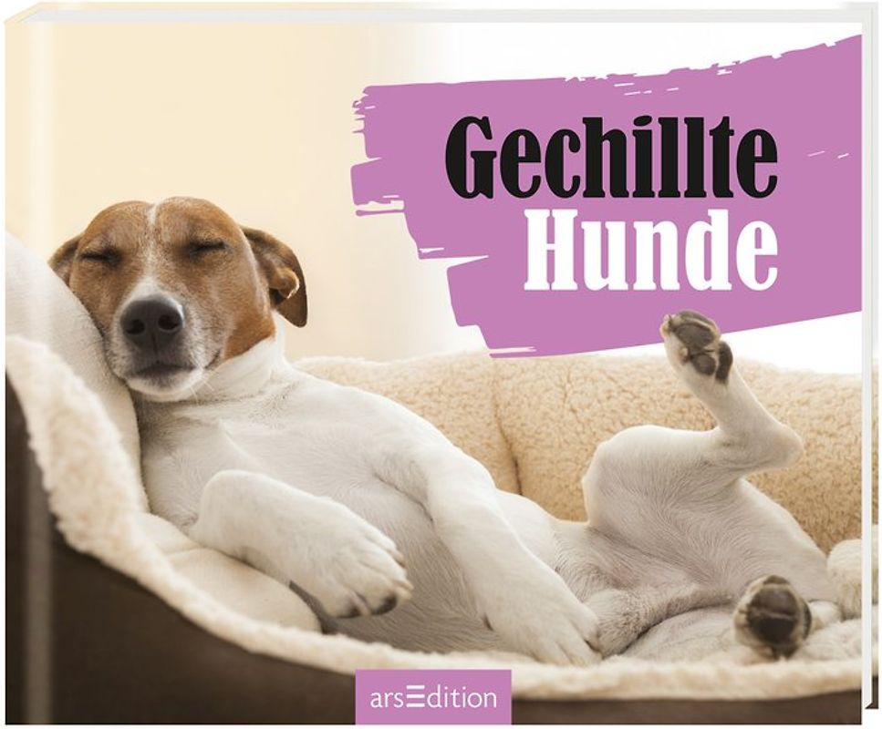 Gechillte Hunde