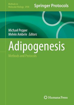 Adipogenesis