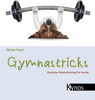 Gymnastricks