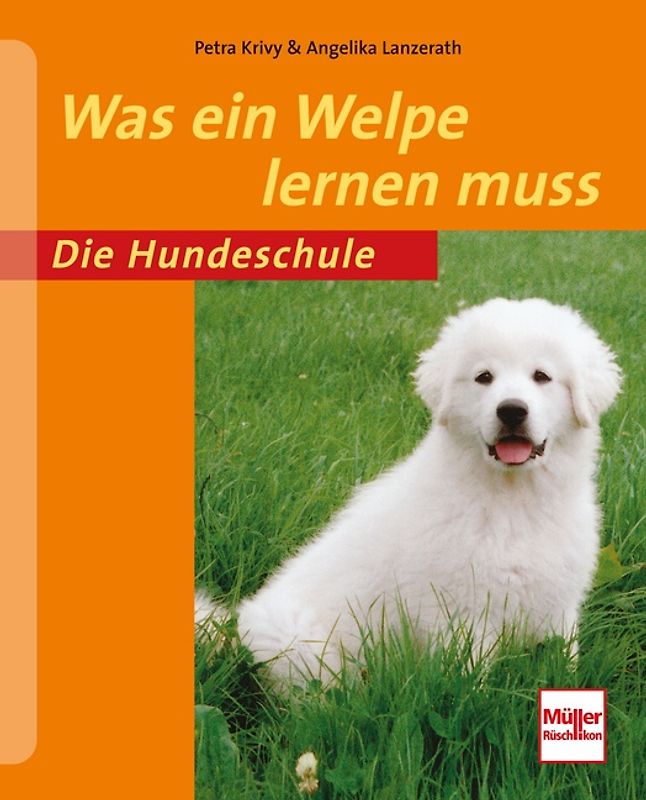 Was ein Welpe lernen muss