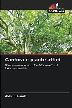 Canfora e piante affini