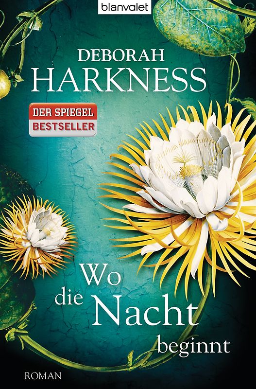 Wo die Nacht beginnt