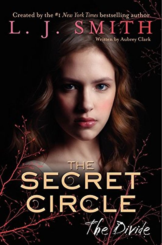 The Secret Circle: The Divide (Secret Circle, 4)