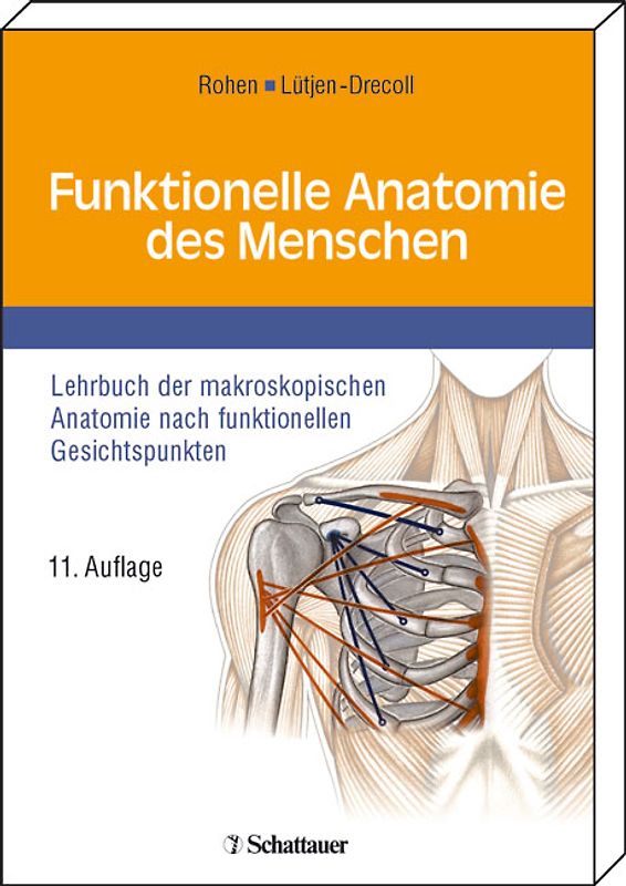 Funktionelle Anatomie des Menschen