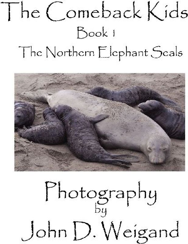 "The Comeback Kids"  Book 1, The Northern Elephant Seals