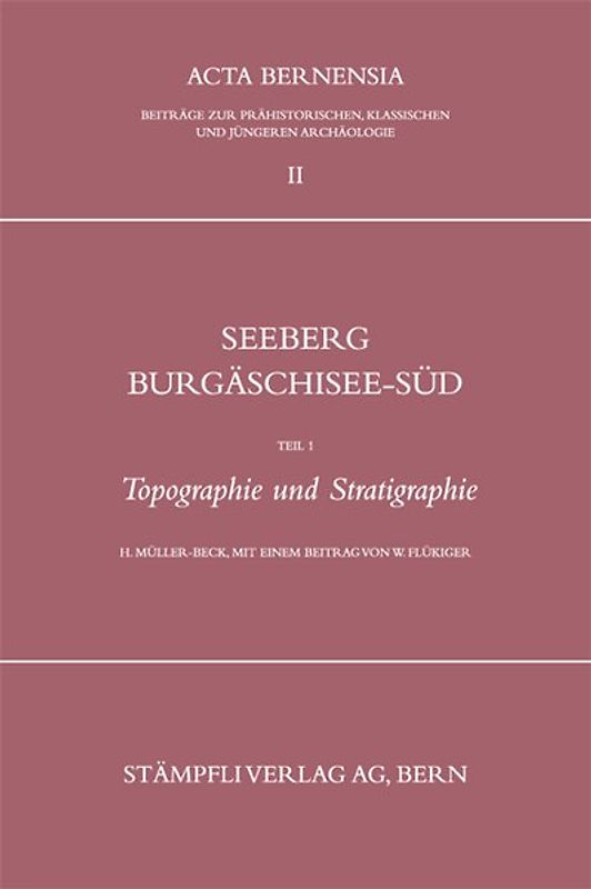 Seeberg-Burgäschisee-Süd / Topographie und Stratigraphie