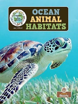 Ocean Animal Habitats