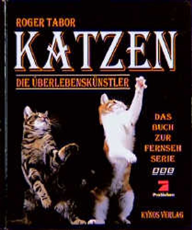 Katzen