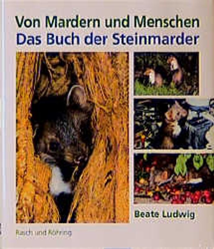 Von Mardern und Menschen. Das Buch der Steinmarder