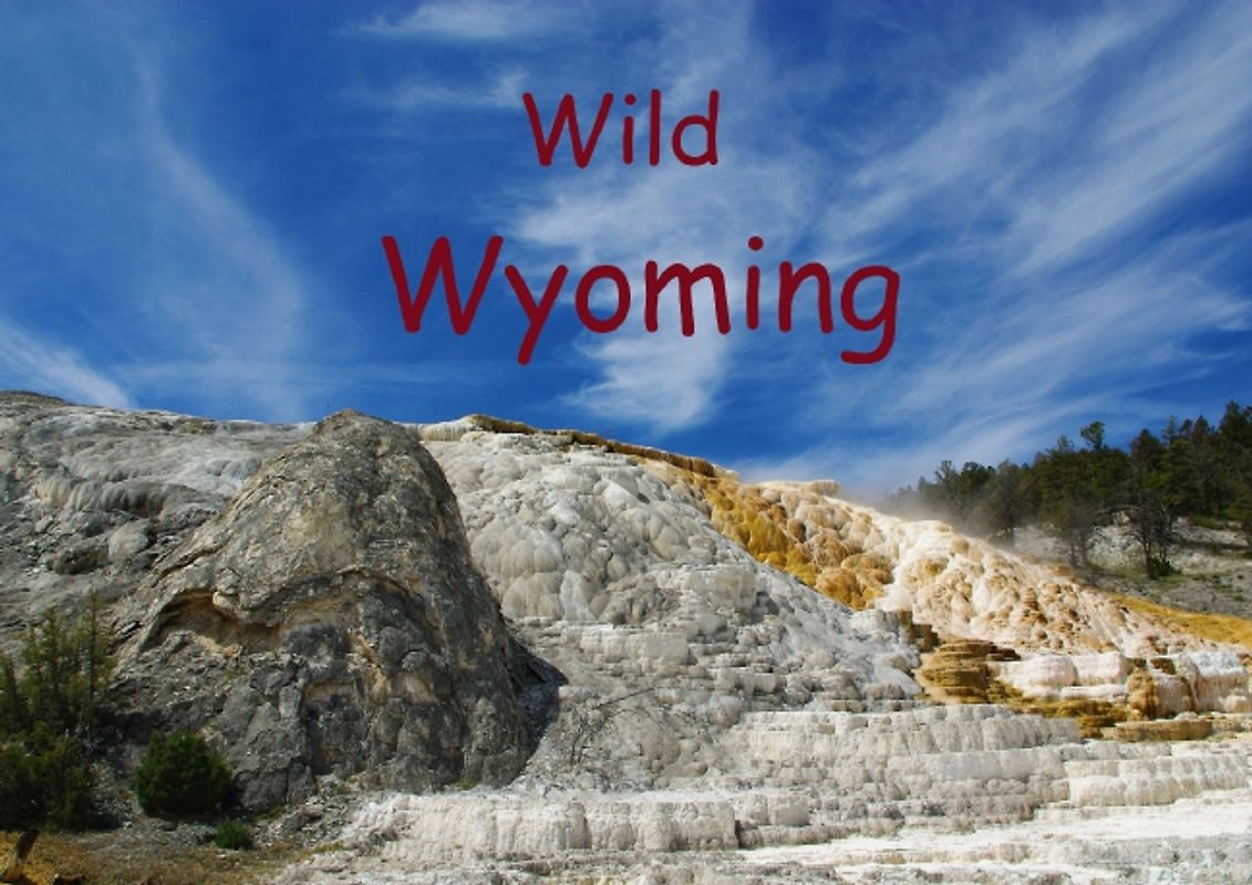 Wild Wyoming / UK-Version (Poster Book DIN A4 Landscape)