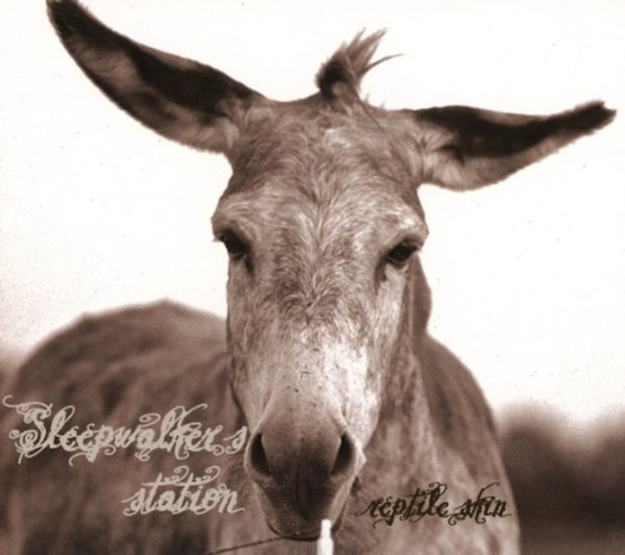 Sleepwalker'S Station - Reptile Skin