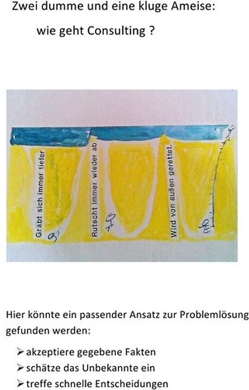 Consulting: Kochbuch für Manager, oderdie es werden wollen / Zwei dumme und eine kluge Ameise: wie geht Consulting