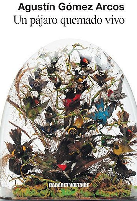 Un pájaro quemado vivo