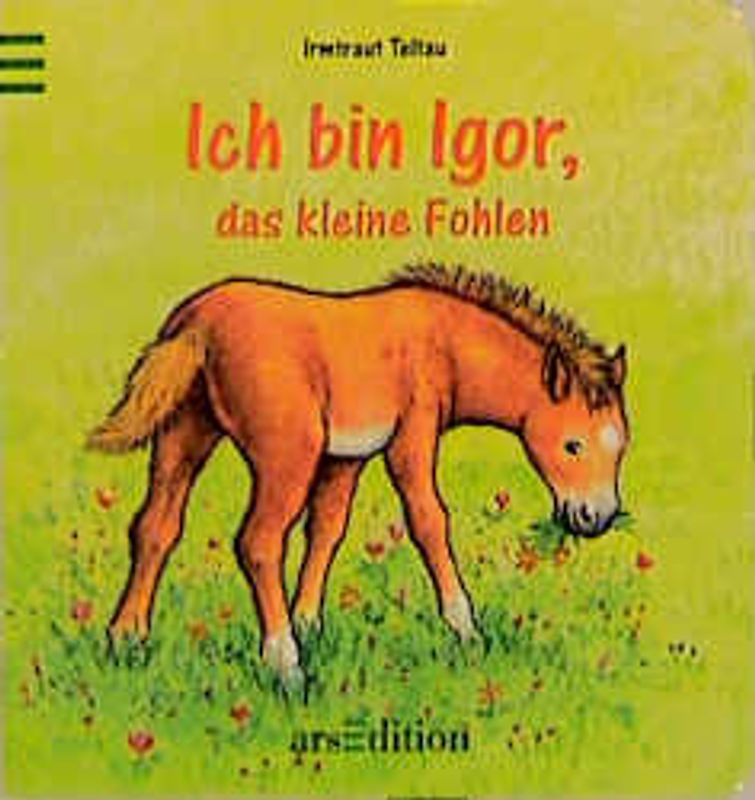 Ich bin Igor, das kleine Fohlen