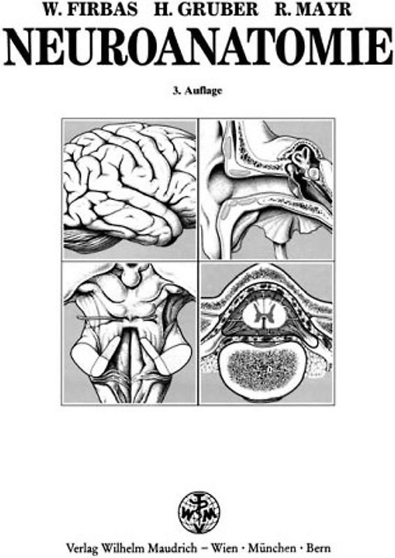 Neuroanatomie