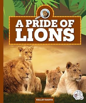 A Pride of Lions