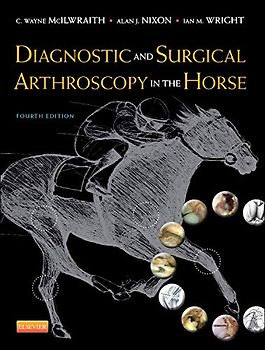Diagnostic and Surgical Arthroscopy in the Horse