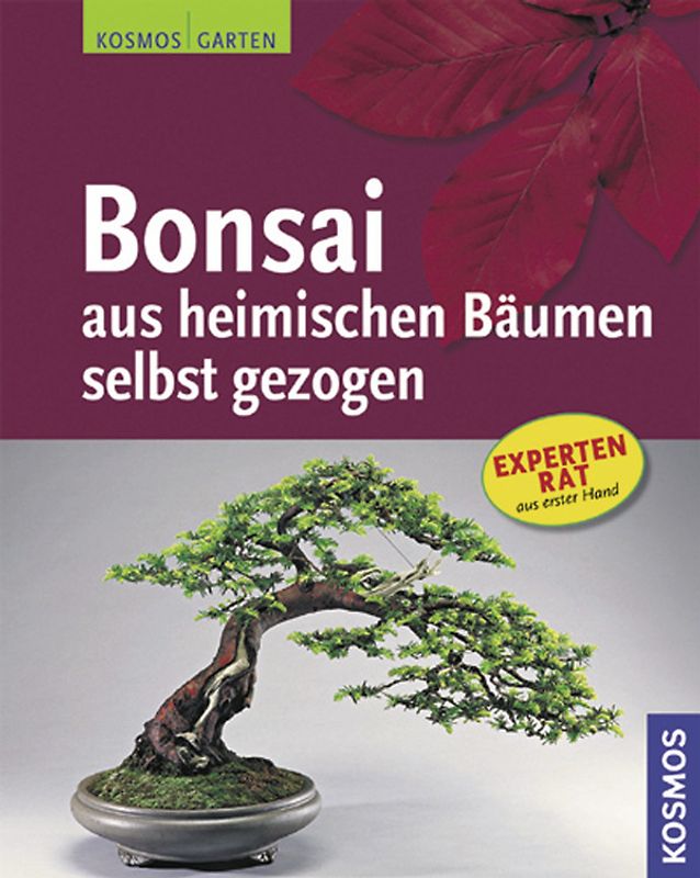 Bonsai aus heimischen Bäumen selbst gezogen