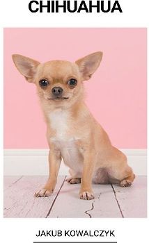 Chihuahua