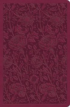 ESV Value Compact Bible (Trutone, Raspberry, Floral Design)