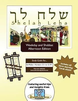 Bar/Bat Mitzvah Survival Guides: Shelah Leha (Weekdays & Shabbat pm)