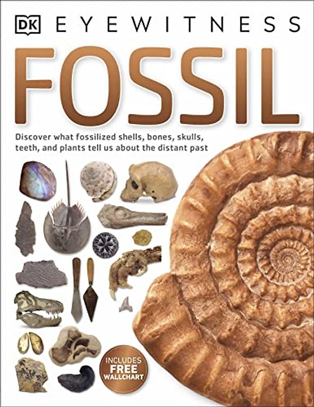 Fossil (DK Eyewitness)