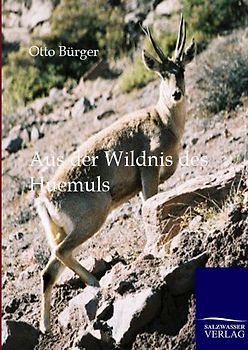 Aus der Wildnis des Huemuls
