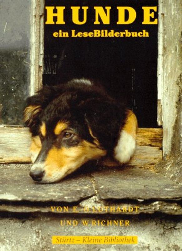 Hunde - ein LeseBilderbuch