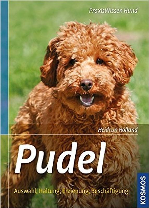 Pudel
