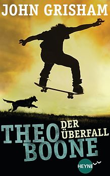 Theo Boone - Der Überfall. Band 4