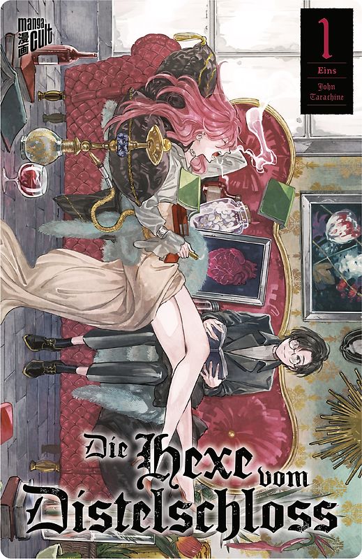 Die Hexe vom Distelschloss 1