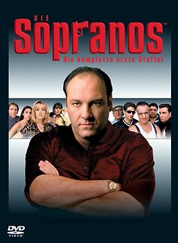 Die Sopranos - Die komplette erste Staffel (4 DVDs) DVD