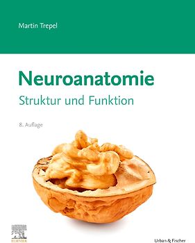 Neuroanatomie