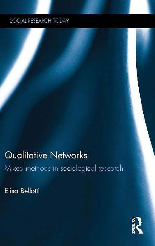 Qualitative Networks