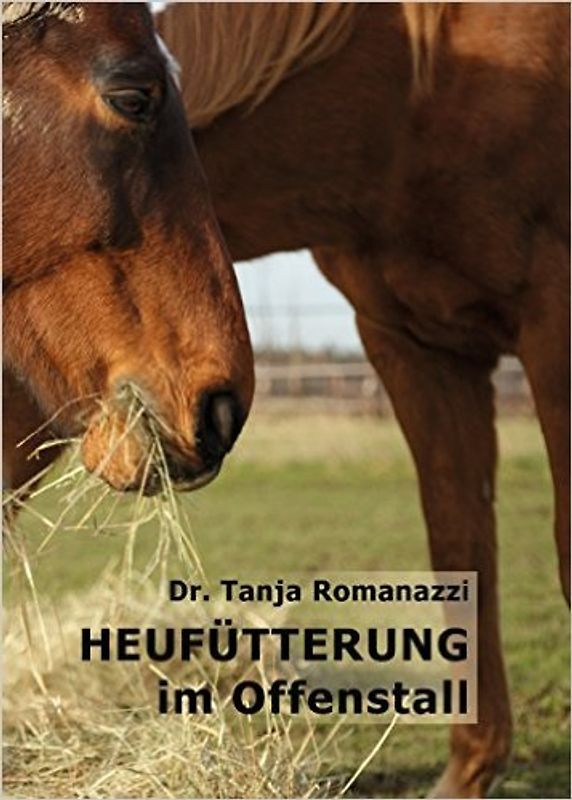 Heufütterung im Offenstall