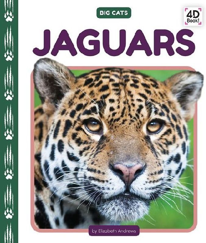 Jaguars