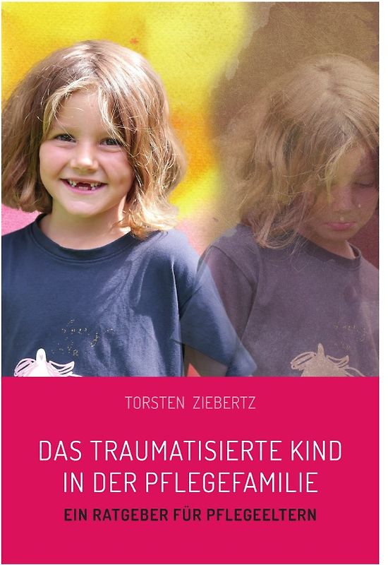 Das traumatisierte Kind in der Pflegefamilie