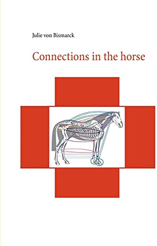 Connections in the horse