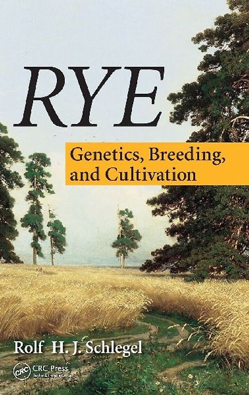 Rye