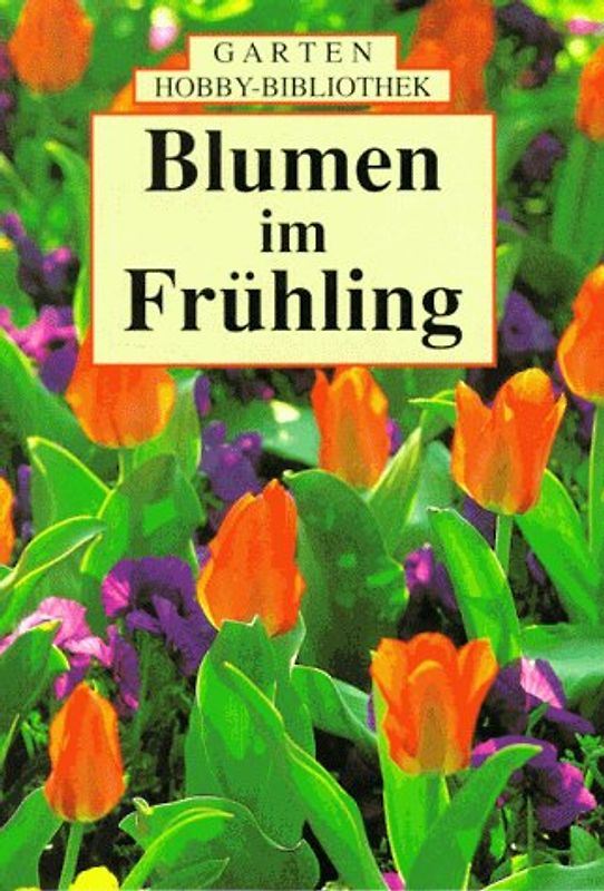 Blumen im Frühling