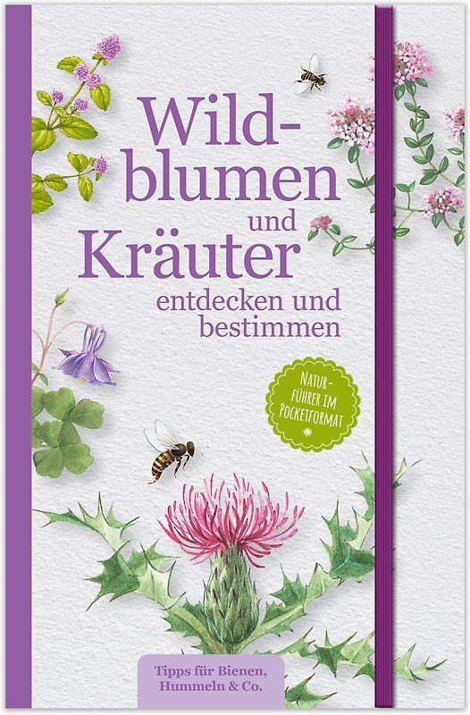 Wildblumen und Kräuter entdecken und bestimmen