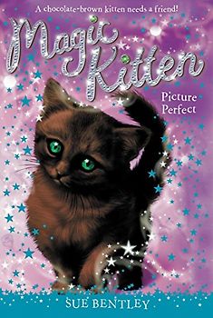 Picture Perfect (Magic Kitten, Band 13)