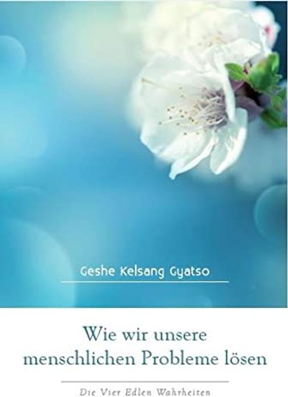 Wie wir unsere menschlichen Probleme lösen