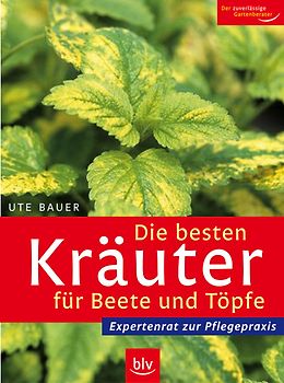 Die besten Kräuter für Beete und Töpfe