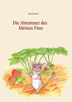 Die Abenteuer des kleinen Finn