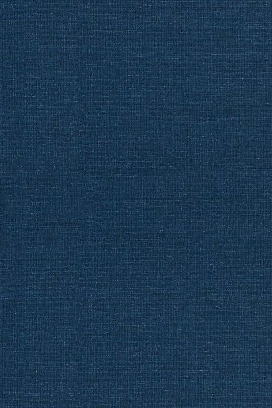 Singular Integrals and Differentiability Properties of Functions