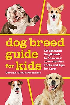 Dog Breed Guide for Kids