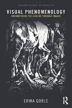 Visual Phenomenology